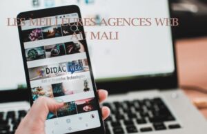 Les meilleures agences web au MALI