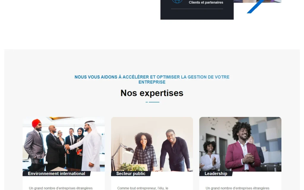 Investcorp Leaders — Domaines d’expertise