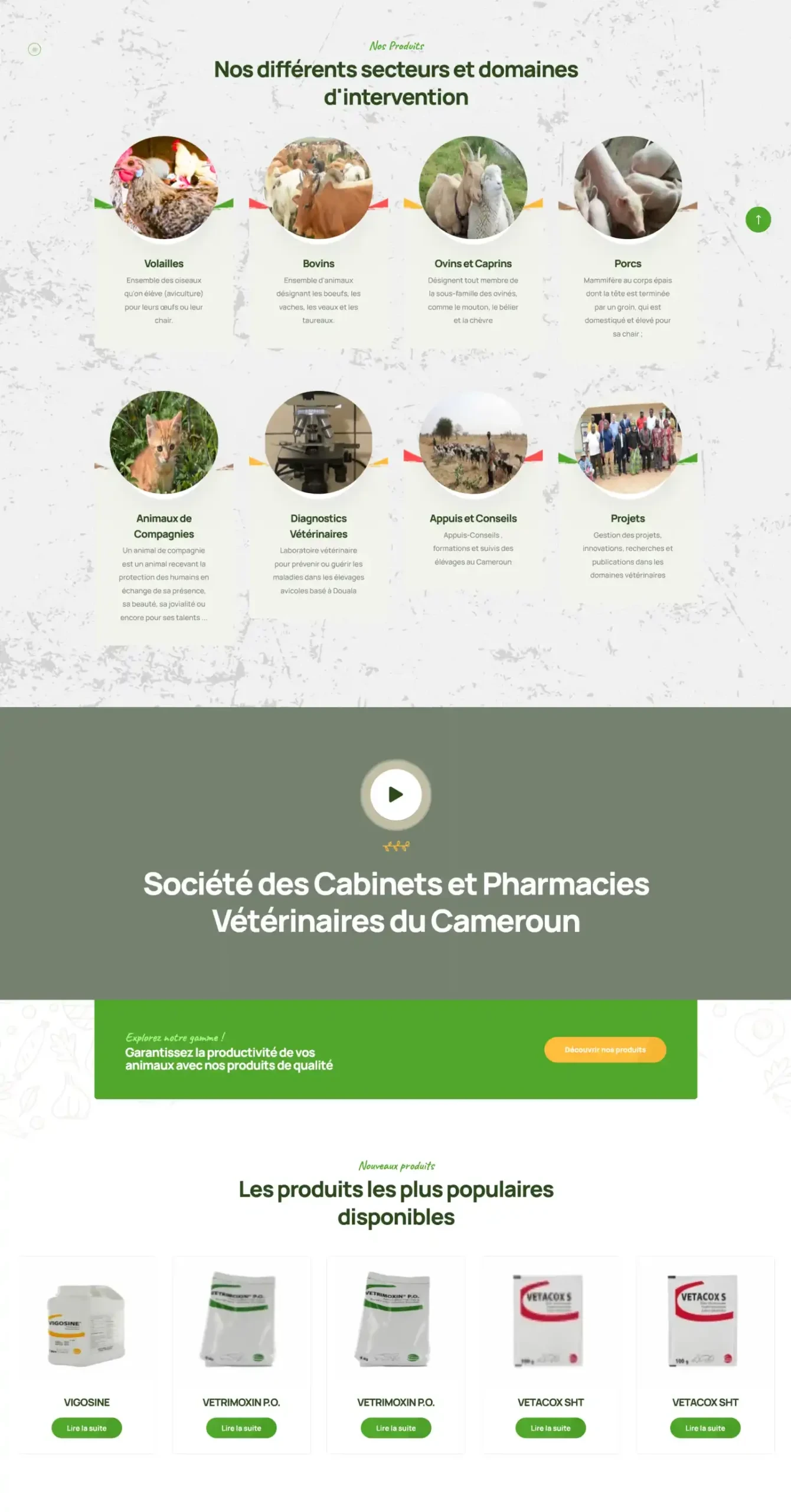 CAPHAVET — présentation et services