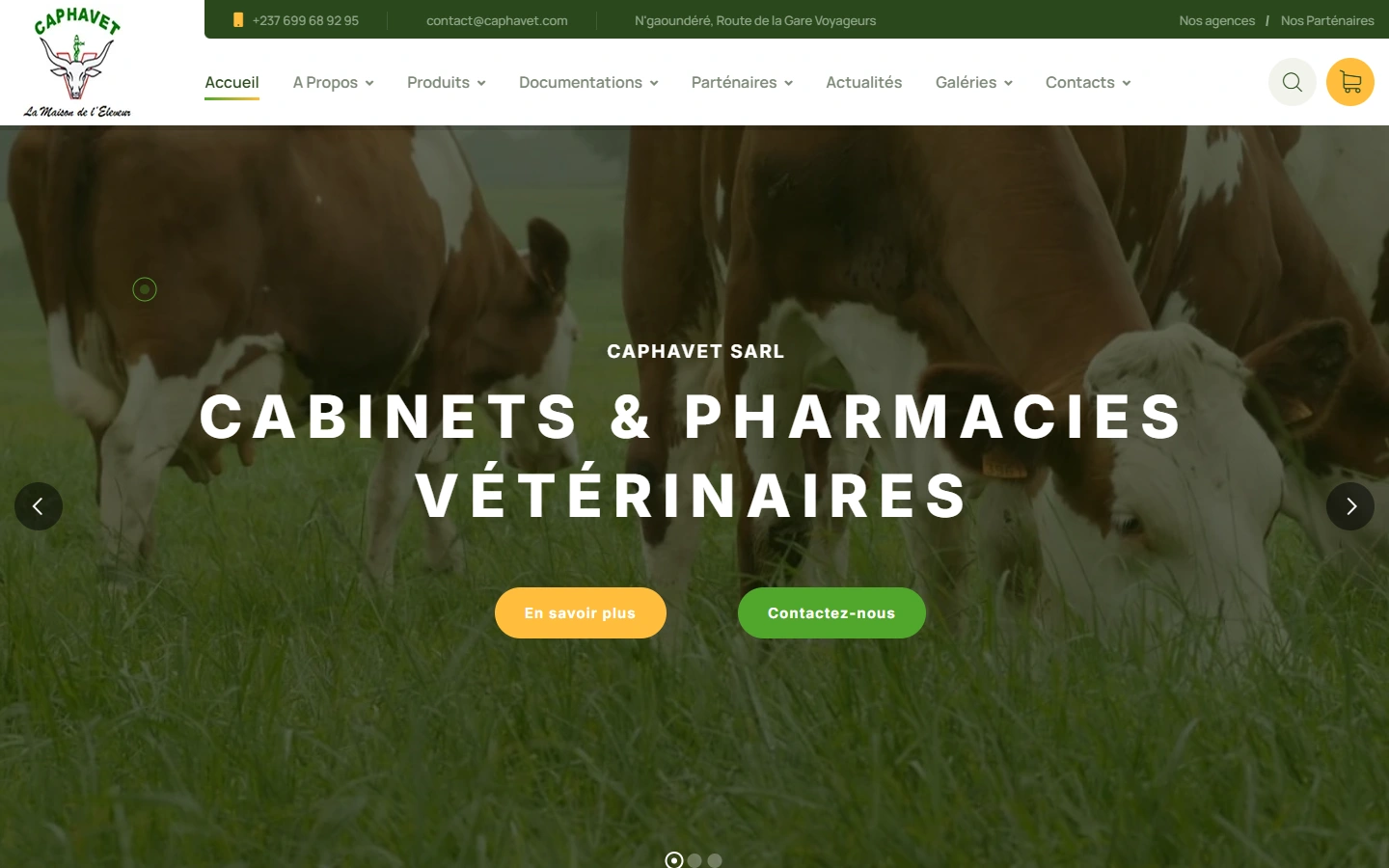 CAPHAVET — accueil sur ordinateur
