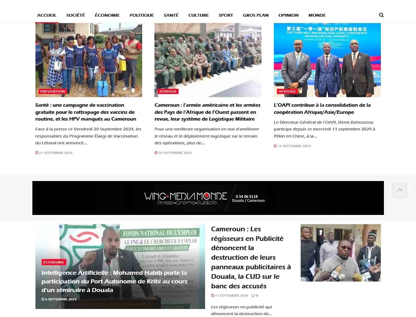 Wing Press Africa — presentation and services