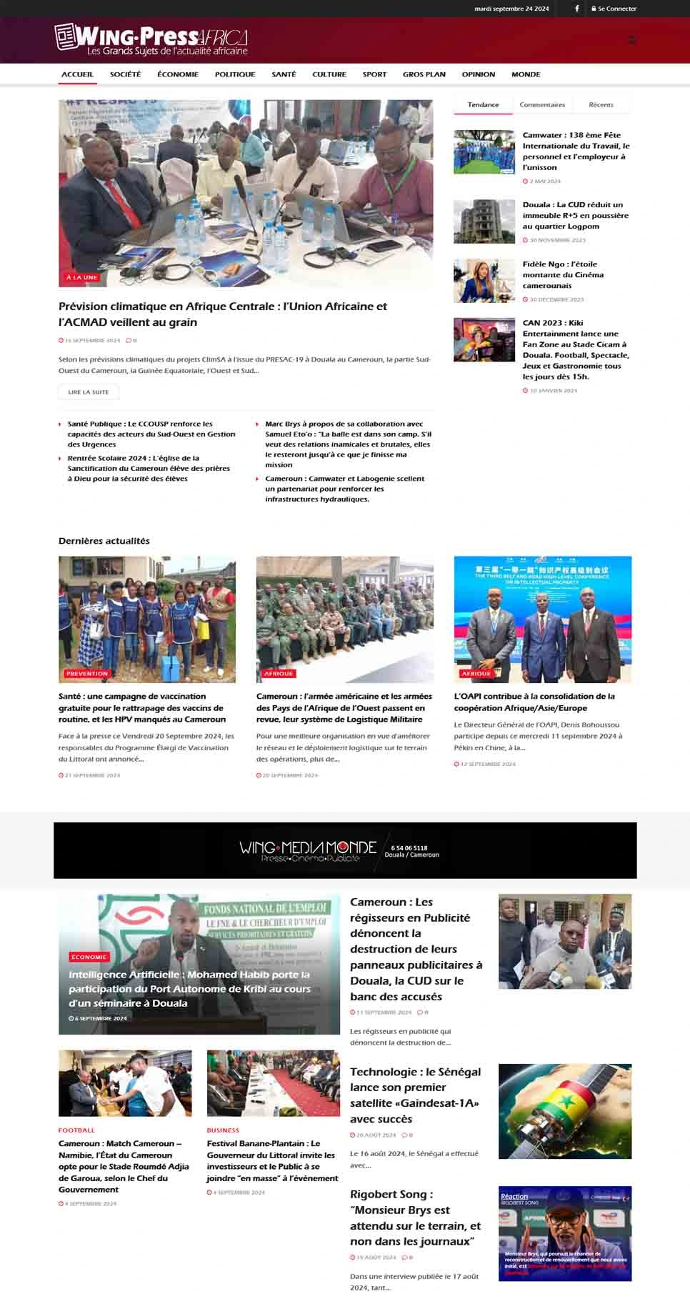 Wing Press Africa — website sections