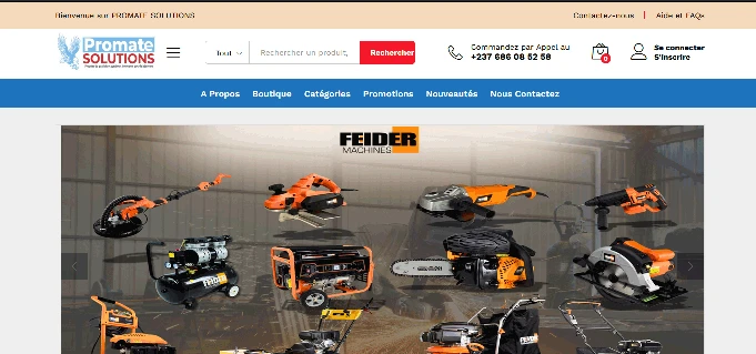 Promate Solutions — Archive du site — vue 1