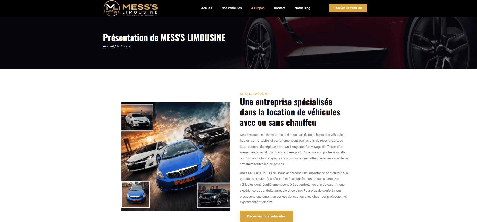 Mess’s Limousine — Company introduction