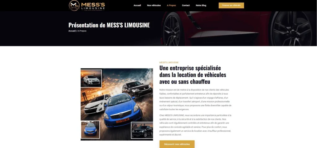 Mess’s Limousine — Présentation de l’entreprise